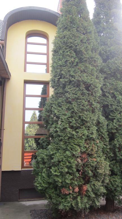 Emi Vendeghaz Hotel Balatonszárszó Eksteriør billede
